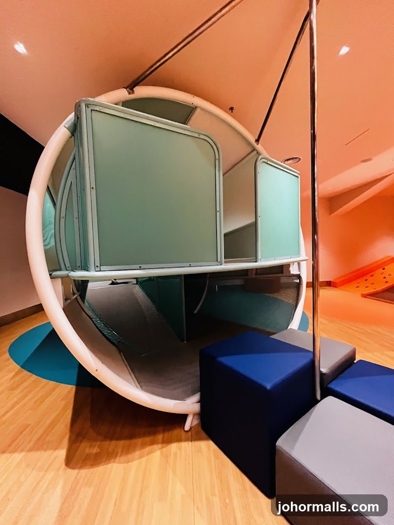 Indoor Play Structure