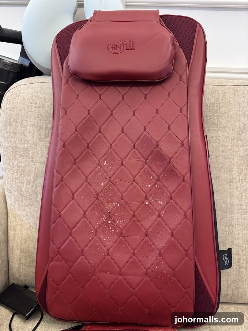 Gintell Massage Cushion