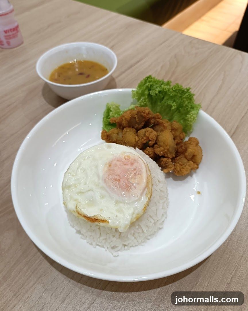 Fried Chicken Rice with Egg