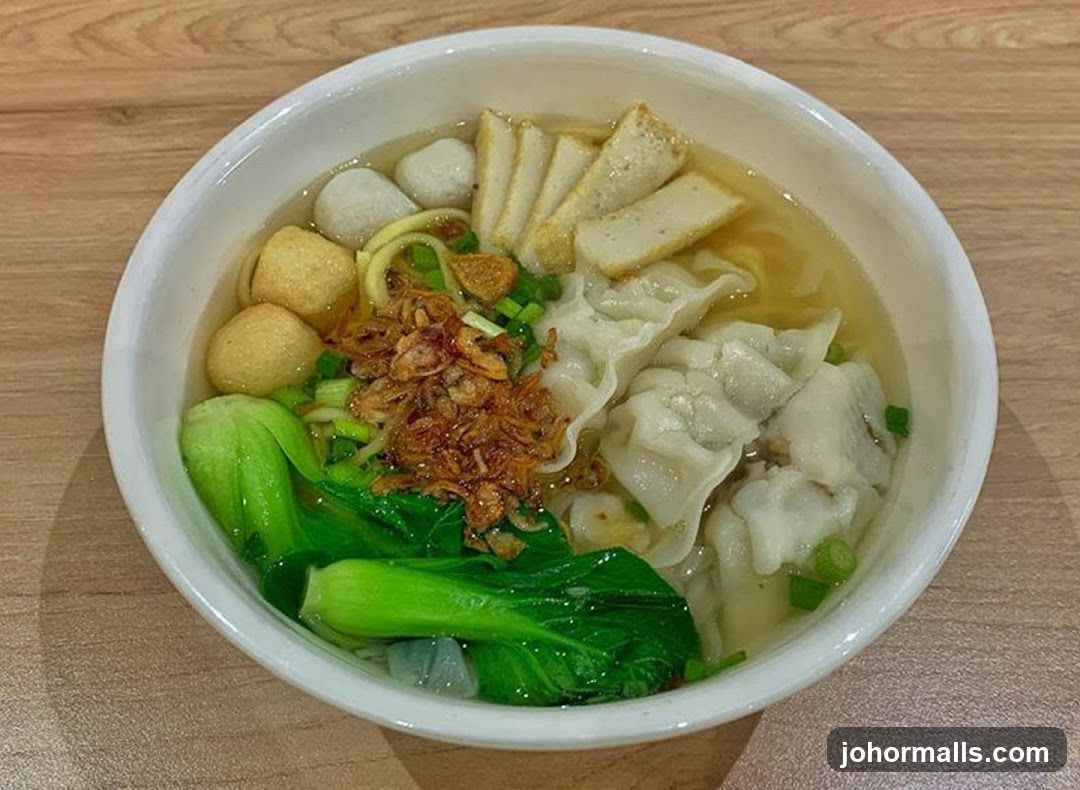 Noodle Soup with Dumplings