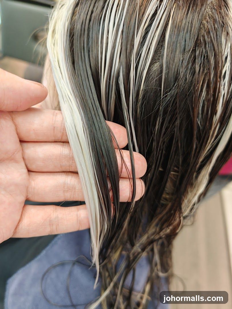 Hair Dye Process