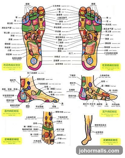 Foot Reflexology Chart