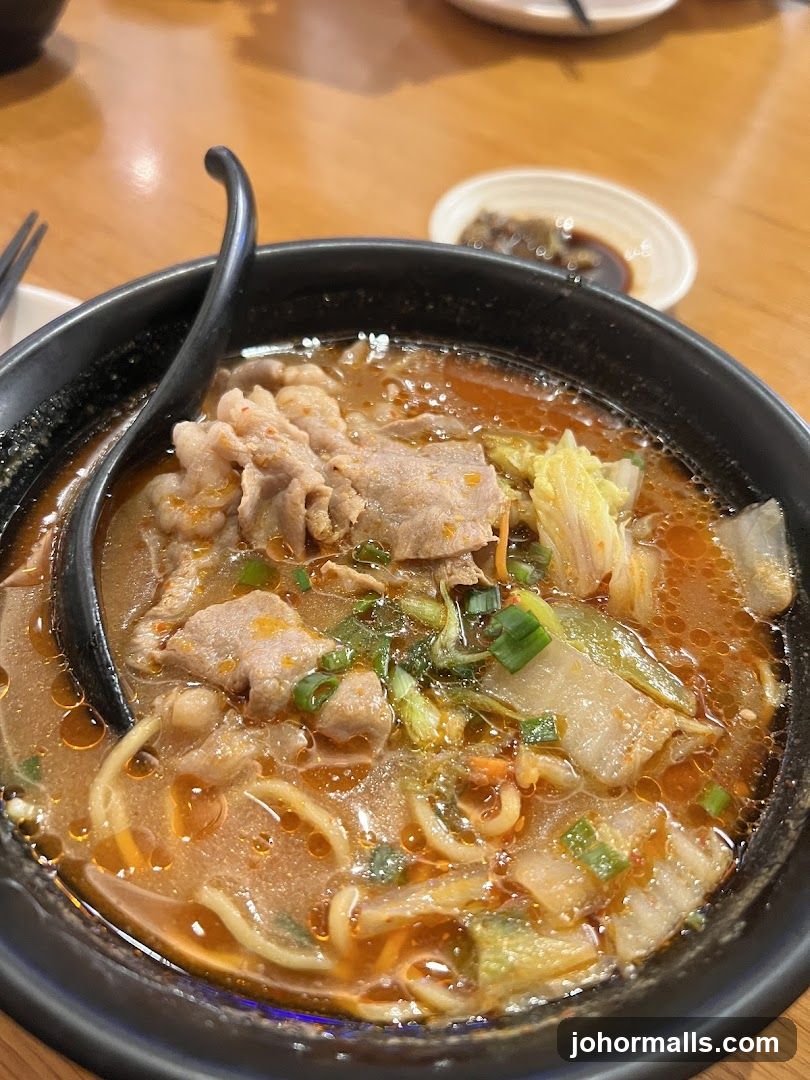 Spicy Noodle Soup with Pork
