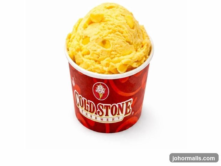 Cold Stone Creamery Ice Cream Cup