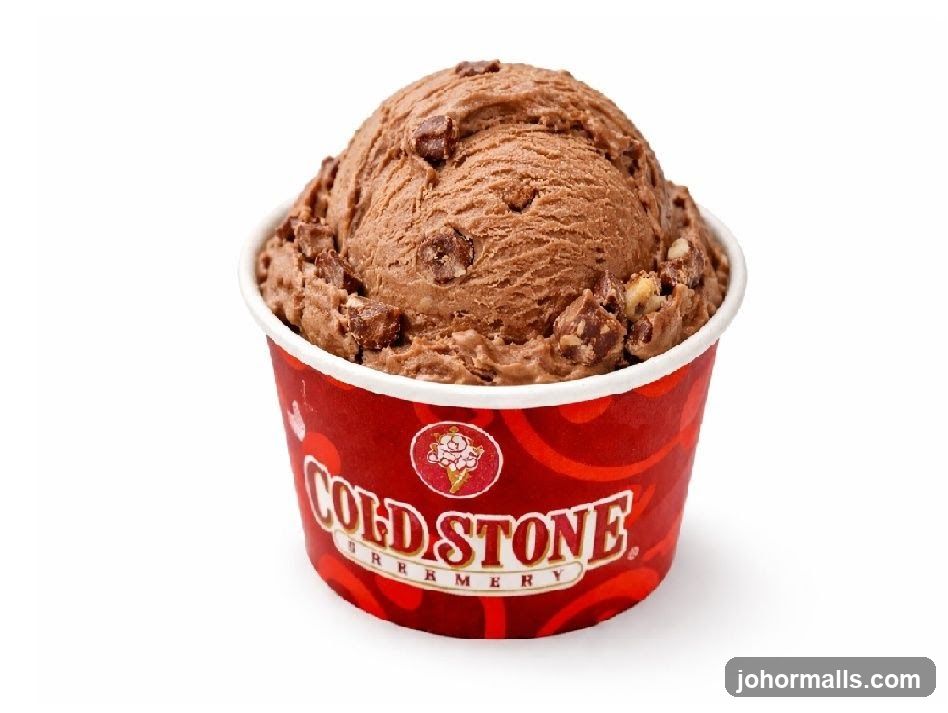 Chocolate Ice Cream in a Cup