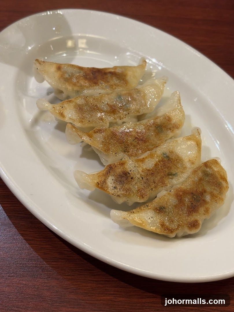 Pan-fried dumplings