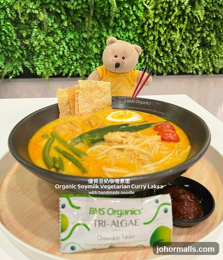 Organic Soymilk Vegetarian Curry Laksa