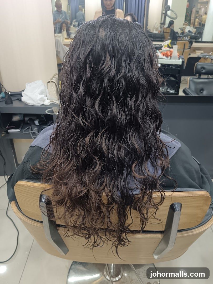 Hairdresser's Chair