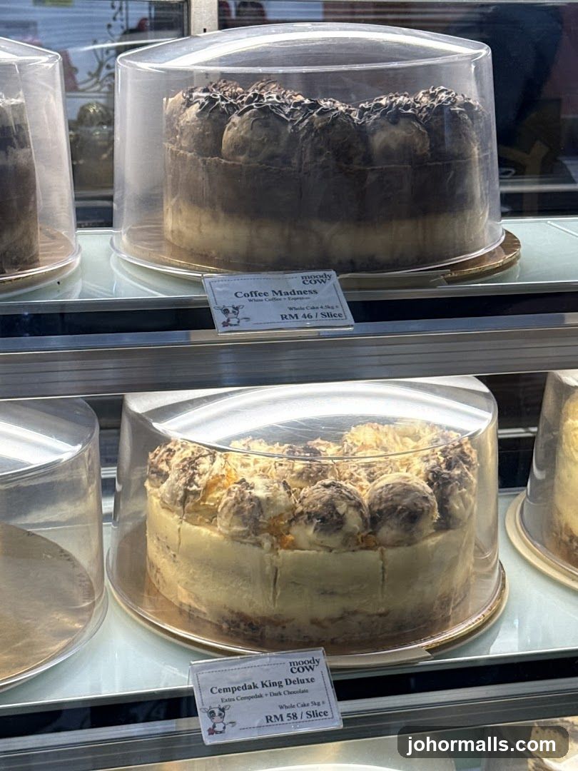 Cake Display Case