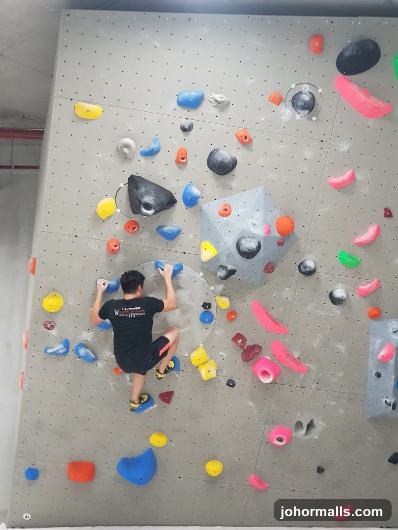Climbing Wall Interior