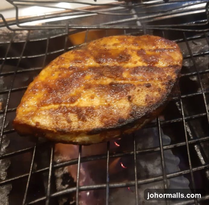 Grilled Fish on Grill