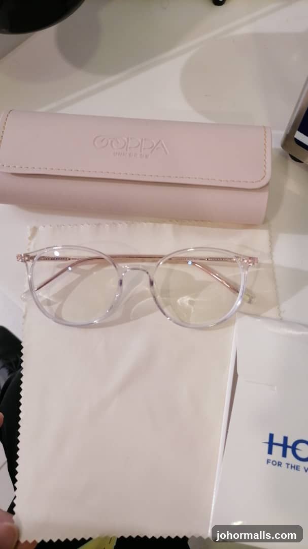Eyeglasses and case
