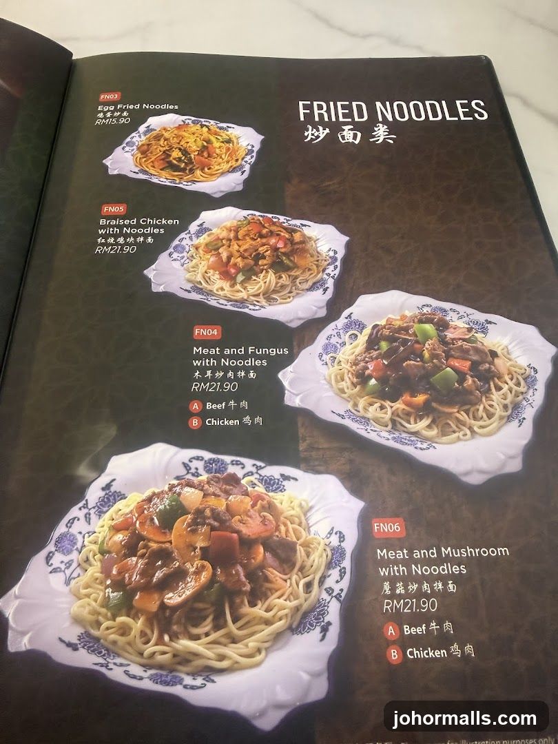 FRIED NOODLES