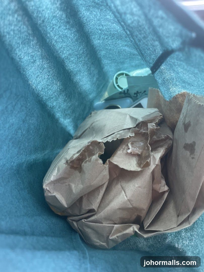 Food in a bag