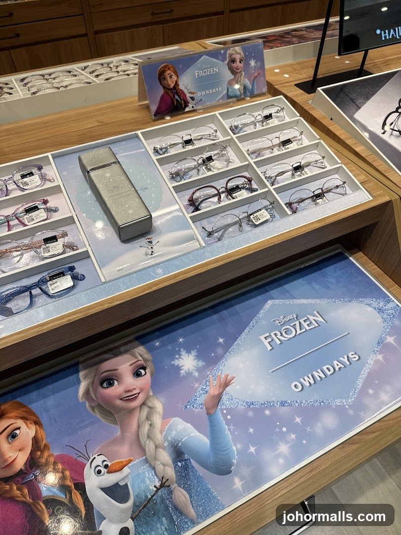 Disney Frozen Eyewear Display