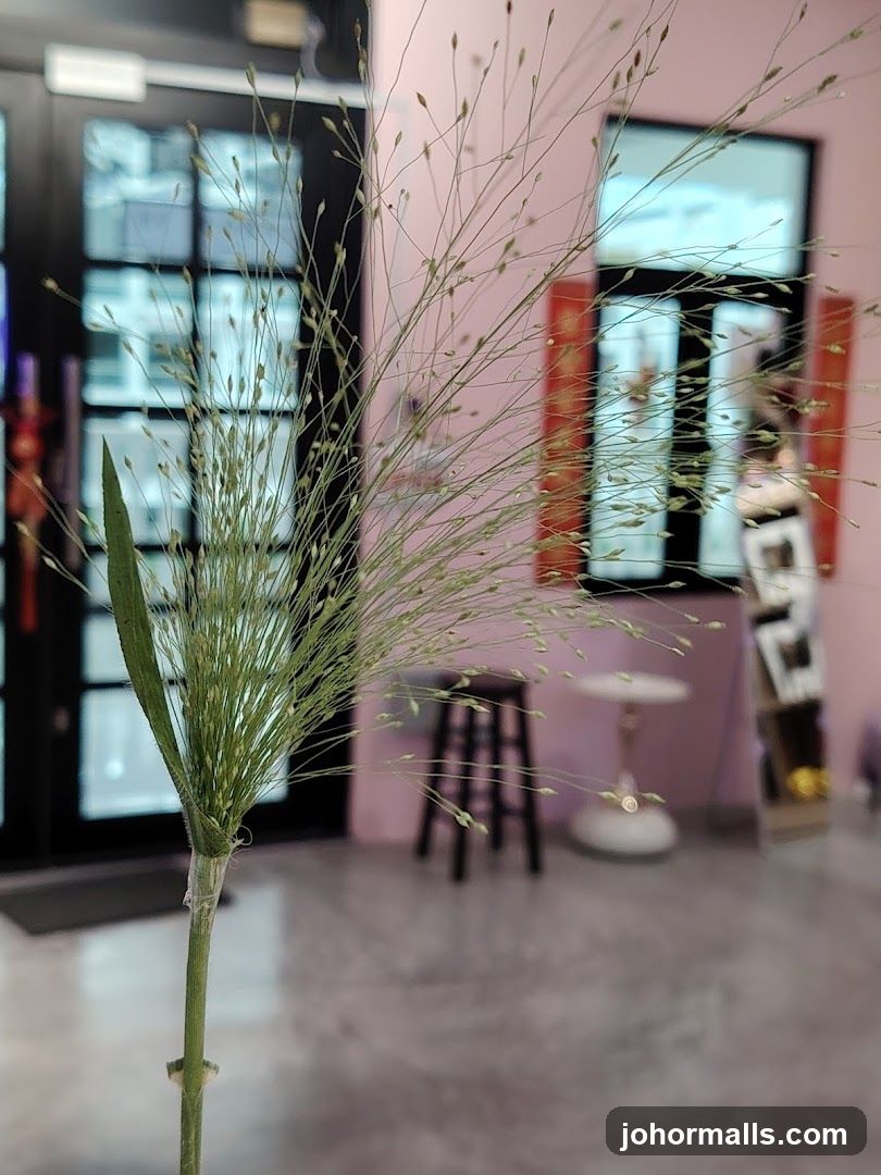 Dried Grasses in Interior