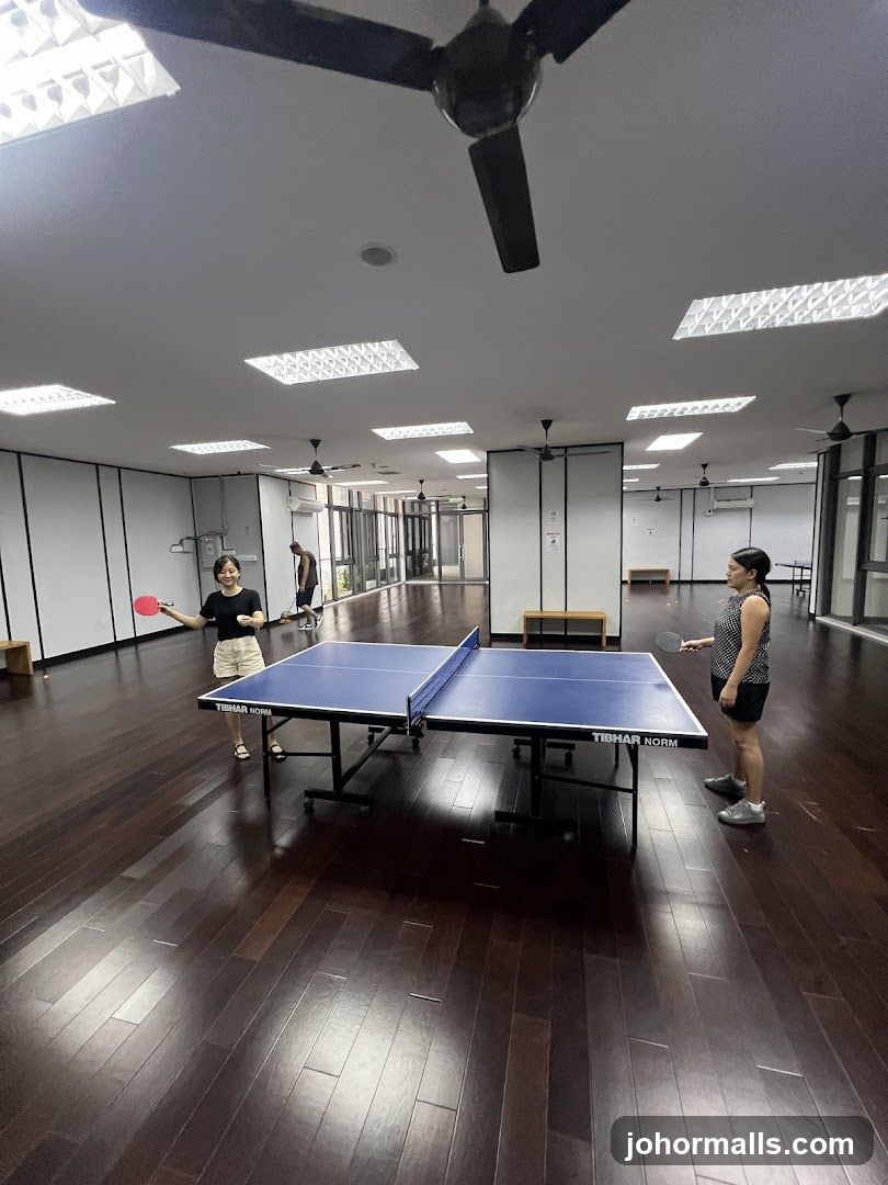 Table Tennis Room