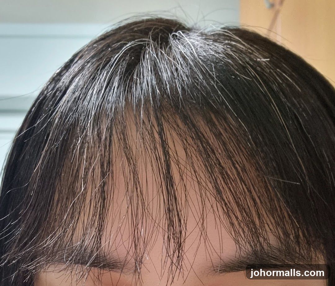 Close-up of hair with gray strands