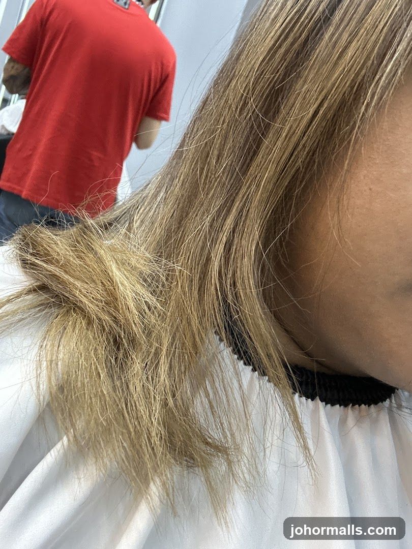 Haircut Preparation