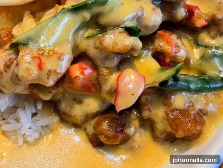 Curry Dish with Rice