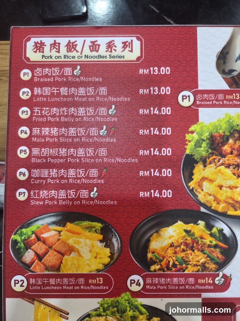 Pork on Rice or Noodles Series