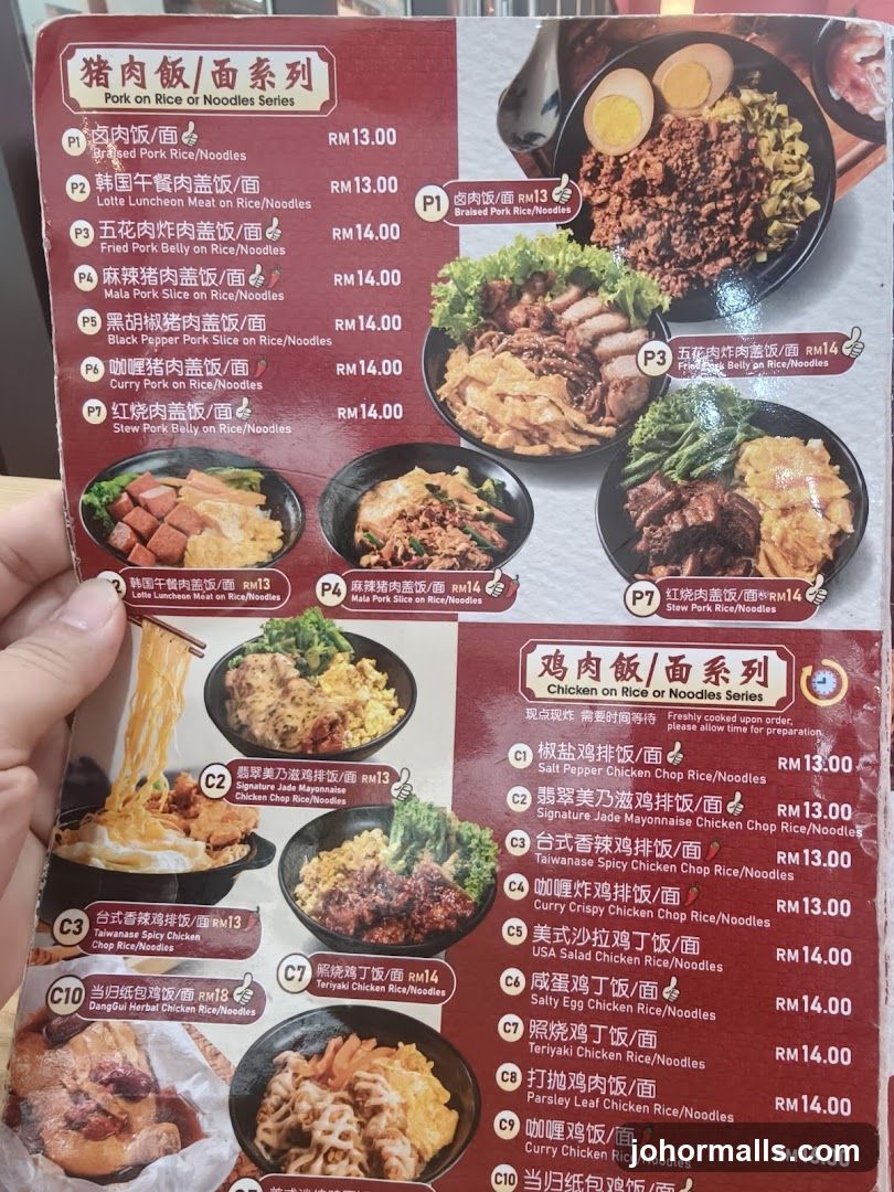 Pork on Rice or Noodles Series & Chicken on Rice or Noodles Series