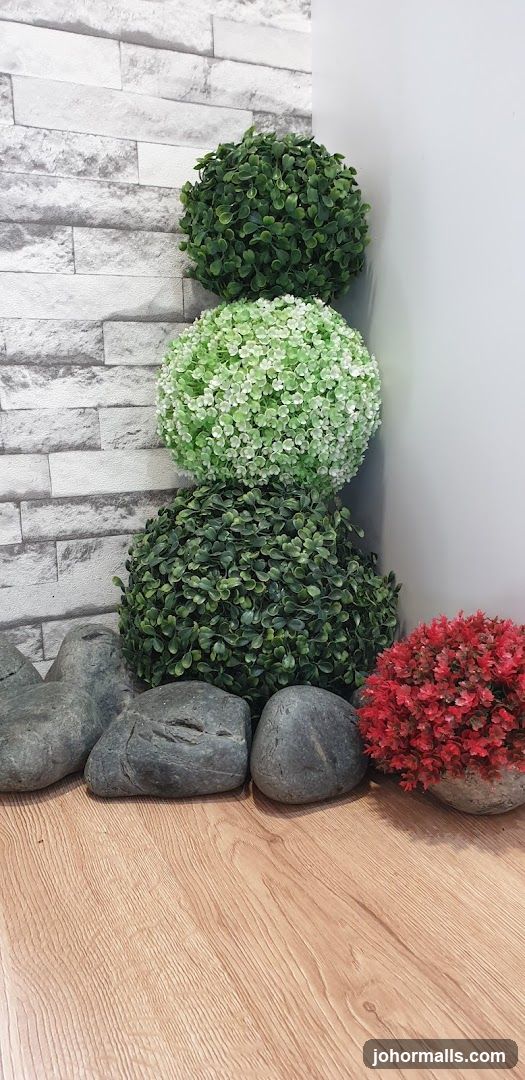 Decorative Plants and Stones