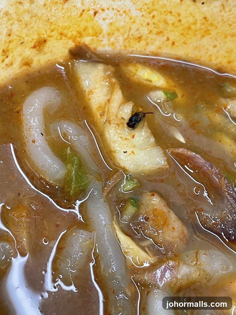 Fly in Noodle Soup