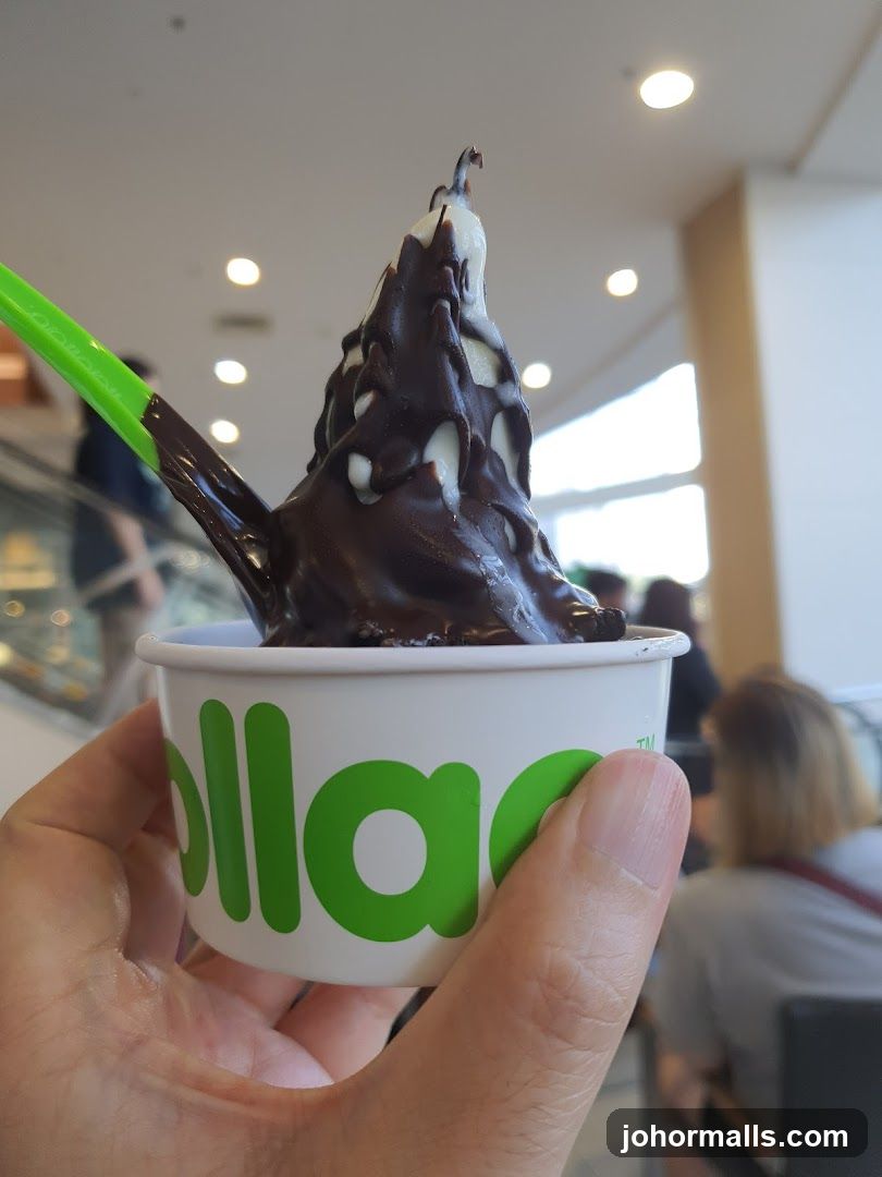 Frozen Yogurt with Chocolate Drizzle