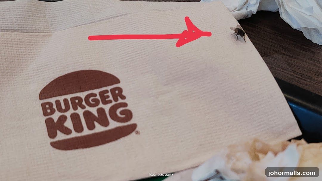 Burger King Napkin with Fly