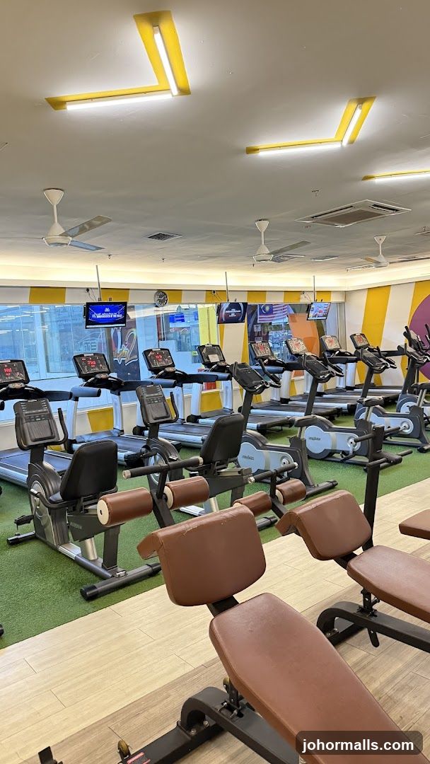 Gym Interior with Cardio Equipment