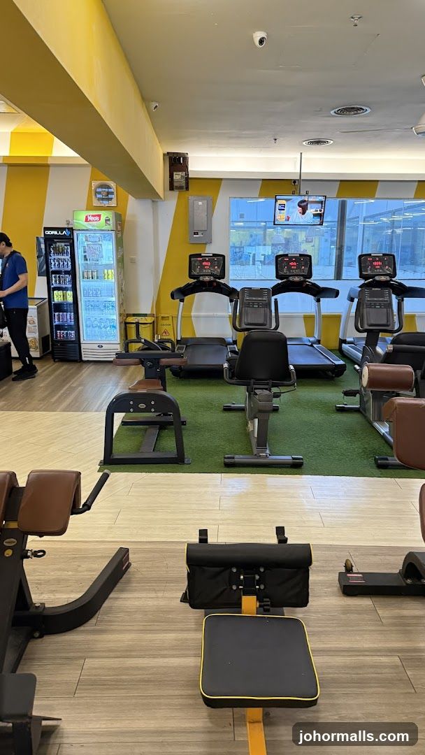 Gym Interior with Exercise Equipment