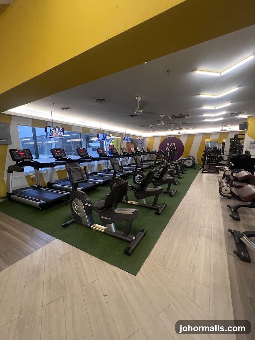 Gym Interior with Cardio Equipment