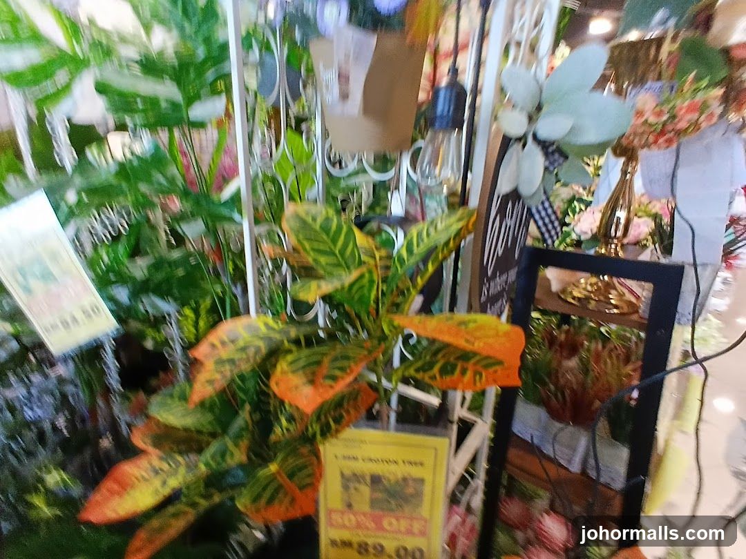Plants and Home Decor