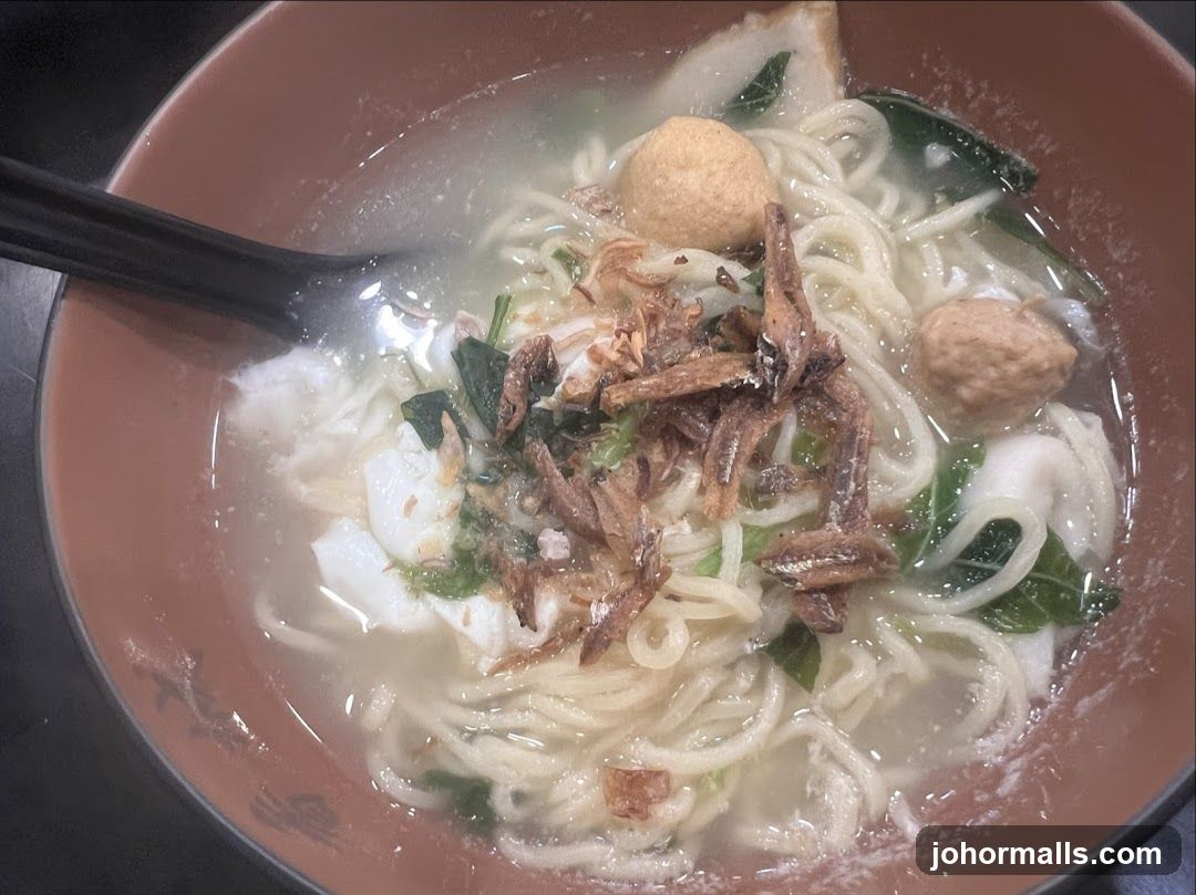 Noodle Soup