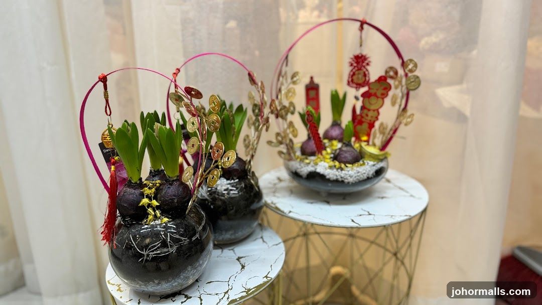 Decorative Potted Plants