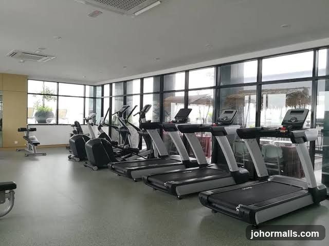 Gym Treadmills and Elliptical Machines