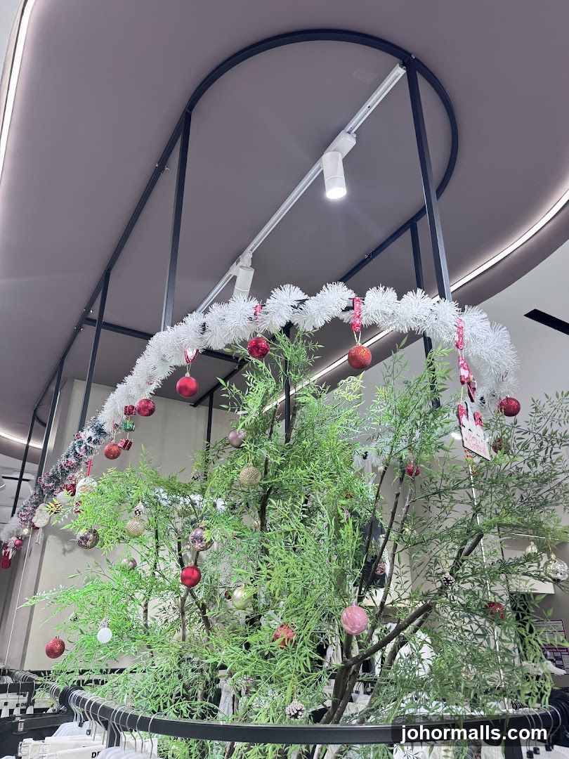 Christmas Decorations in Store