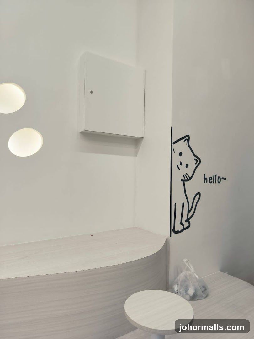 The Cat's Corner