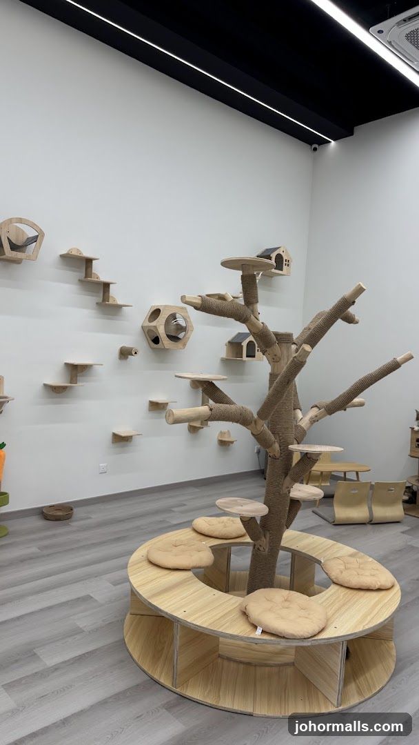 Cat Cafe Interior