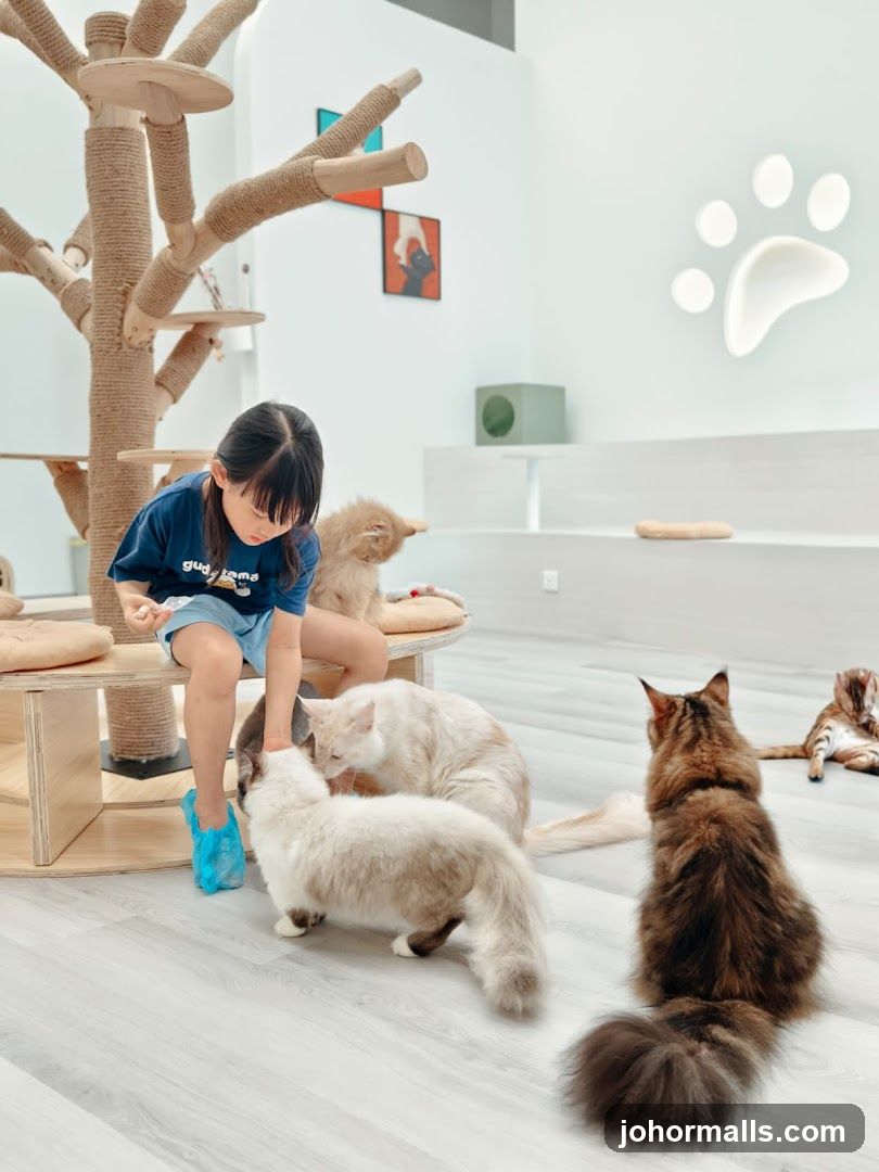 Cat Cafe Interior with Child and Cats