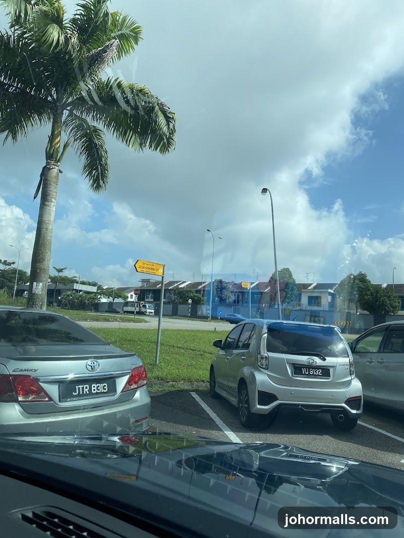 Parking Lot with Cars and Palm Tree