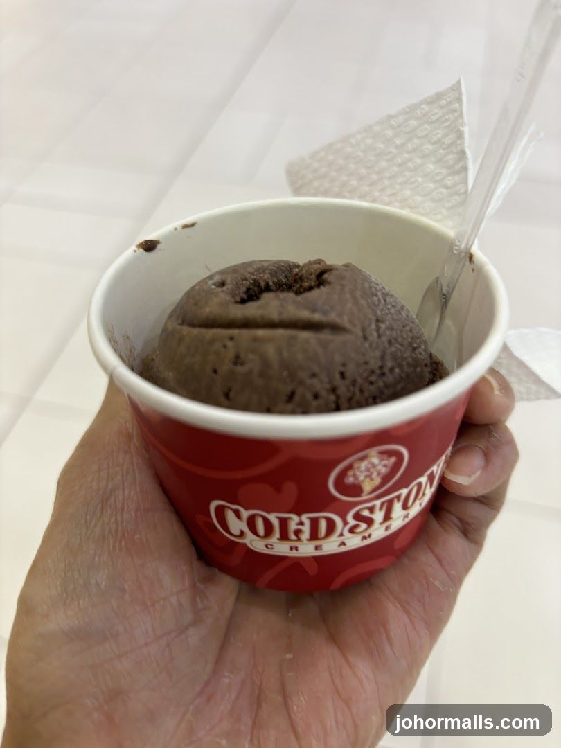 Chocolate Ice Cream Cup