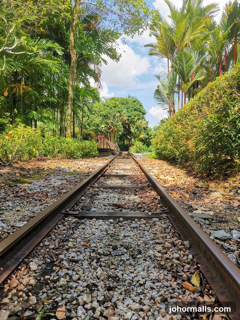 Train Tracks in a Lush Green Environment