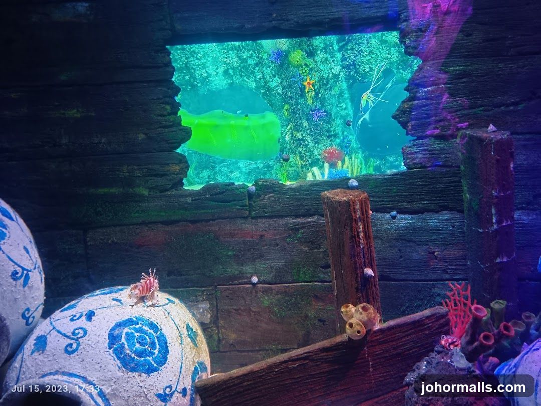 Underwater Scene with Shipwreck Decor