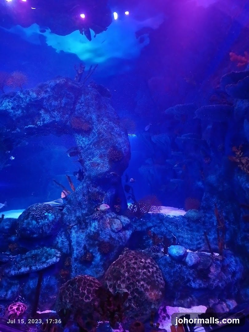 Underwater Scene