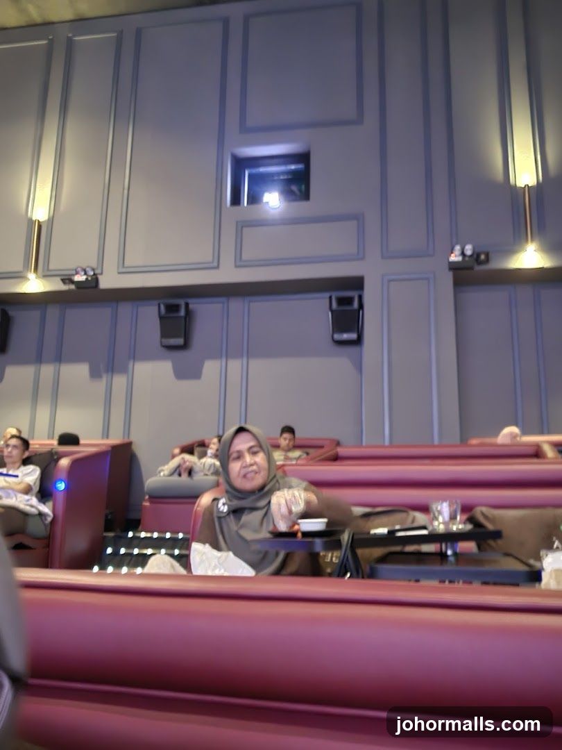 People in a cinema