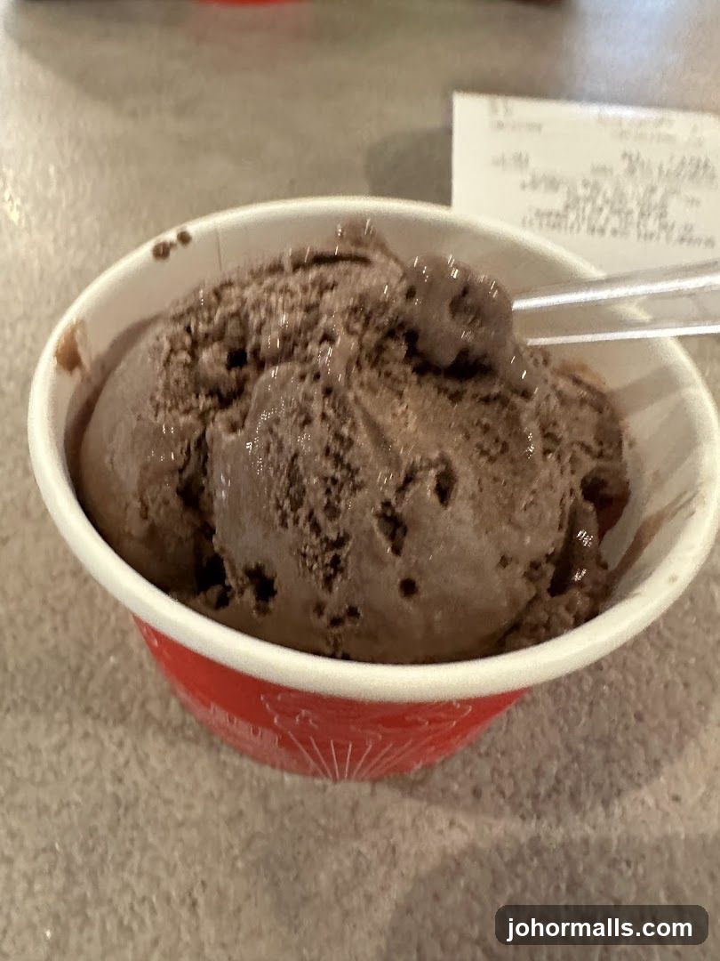 Chocolate Ice Cream in a Cup