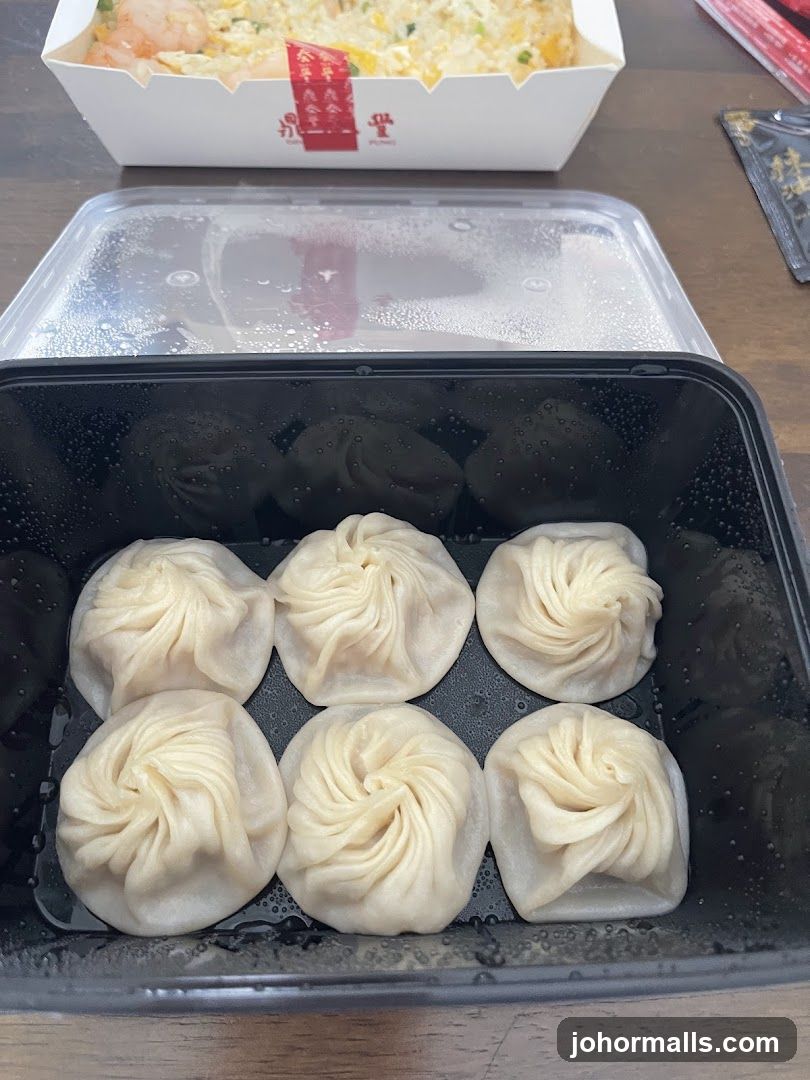 Soup Dumplings and Fried Rice