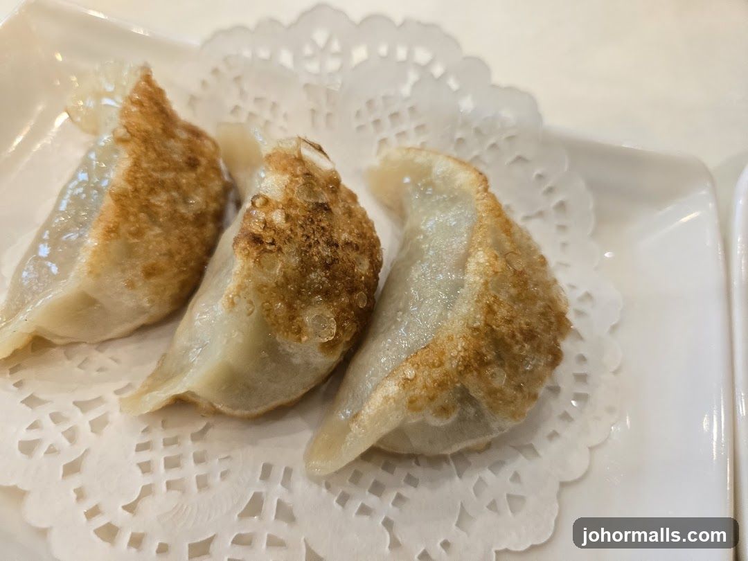 Pan-Fried Dumplings